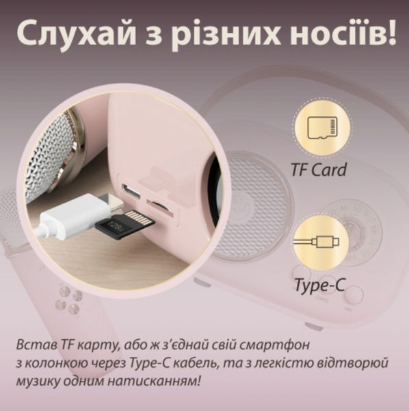 Портативна колонка з мікрофоном Platinum C-20 BT/TF/USB/FM із вологозахистом 5 Вт рожева 1-SHVAB-C20 фото