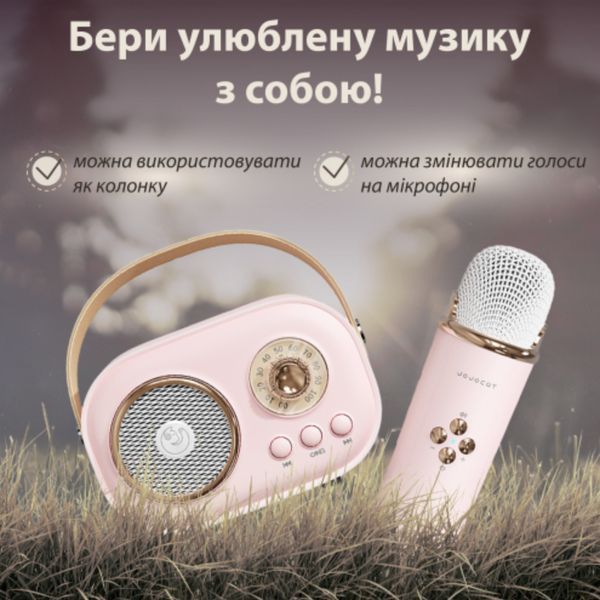 Портативна колонка з мікрофоном Platinum C-20 BT/TF/USB/FM із вологозахистом 5 Вт рожева 1-SHVAB-C20 фото