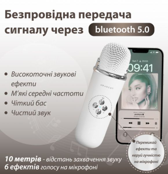 Портативна колонка з мікрофоном Platinum C-20 BT/TF/USB/FM із вологозахистом 5 Вт біла 1-SHVAB-C20 фото