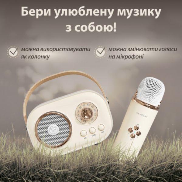 Портативна колонка з мікрофоном Platinum C-20 BT/TF/USB/FM із вологозахистом 5 Вт бежева 1-SHVAB-C20 фото