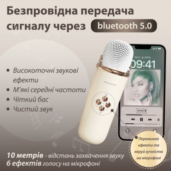 Портативна колонка з мікрофоном Platinum C-20 BT/TF/USB/FM із вологозахистом 5 Вт бежева 1-SHVAB-C20 фото